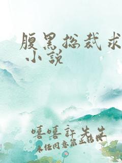 腹黑总裁求放过 小说