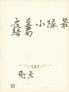 夜幕小队最后的结局