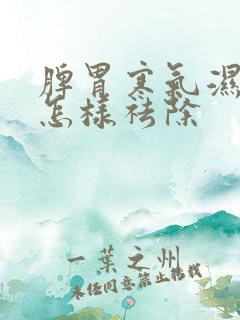 脾胃寒气湿气重怎样祛除