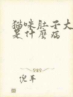 猫咪肚子大尿黄是什么病