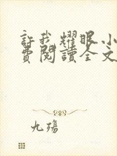 许我耀眼小说免费阅读全文最新章节