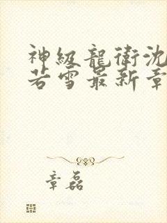 神级龙卫沈浪苏若雪最新章节