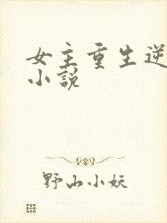 女主重生逆袭的小说