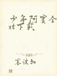 少年阿宾全文txt下载