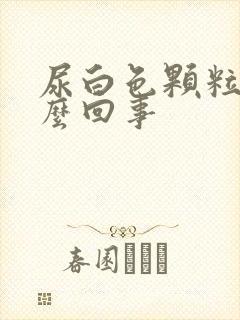 尿白色颗粒是怎么回事