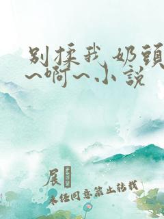 别揉我奶头~嗯~啊~小说