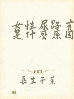 女性尿路有感染是什么原因