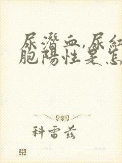 尿潜血,尿红细胞阳性是怎么回事