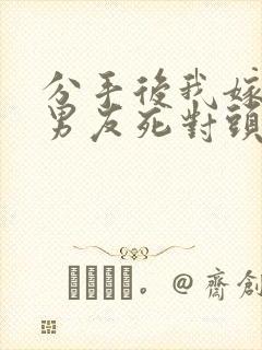 分手后我嫁给前男友死对头沈淮全文小说