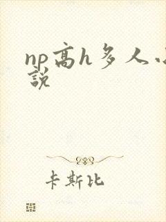 np高h多人小说