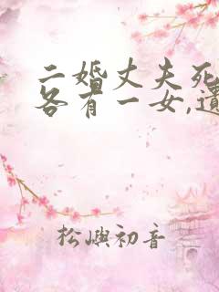 二婚丈夫死亡,各有一女,遗产继承