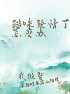 猫咪发情了乱尿怎么办