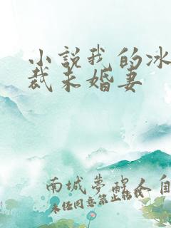 小说我的冰山总裁未婚妻