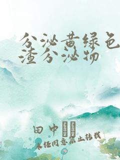 分泌黄绿色豆腐渣分泌物