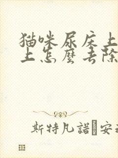 猫咪尿床上被子上怎么去除尿味