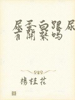 尿蛋白跟尿酸高有关系吗