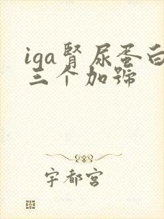 iga肾尿蛋白三个加号