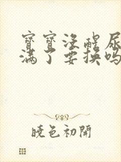 宝宝没醒尿不湿满了要换吗