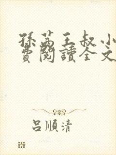 孙茜王叔小说免费阅读全文最新章节