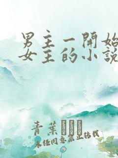 男主一开始不爱女主的小说