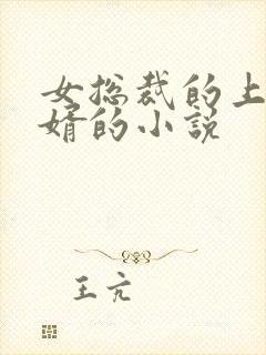 女总裁的上门龙婿的小说