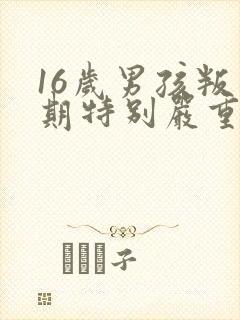 16岁男孩叛逆期特别严重怎么办还打父母