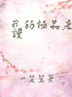 我的极品老婆阅读