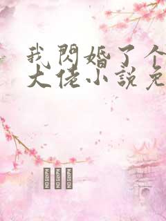 我闪婚了个财阀大佬小说免费阅读