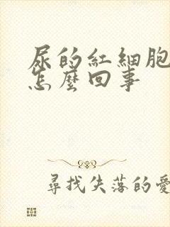 尿的红细胞高是怎么回事