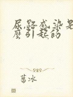 尿,路感染是怎么引起的