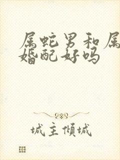 属蛇男和属兔女婚配好吗