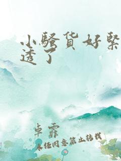 小骚货好紧哦湿透了