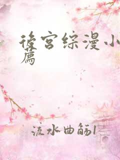 后宫综漫小说推荐