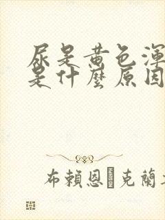 尿是黄色浑浊的是什么原因