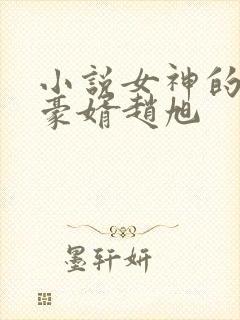 小说女神的上门豪婿赵旭