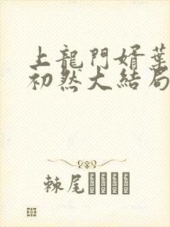 上龙门婿叶辰萧初然大结局