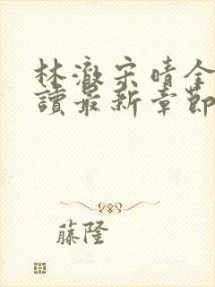 林澈宋晴全文阅读最新章节