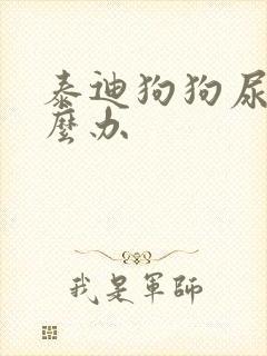 泰迪狗狗尿黄怎么办