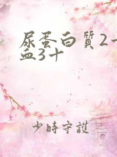 尿蛋白质2十隐血3十