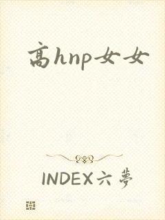 高hnp女女