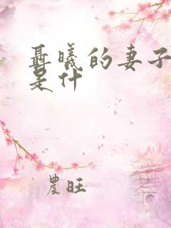 聂曦的妻子结局是什