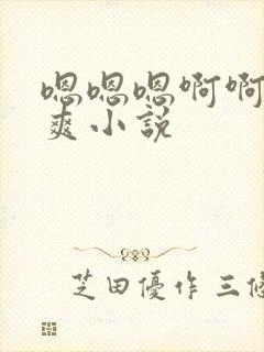 嗯嗯嗯啊啊啊好爽小说