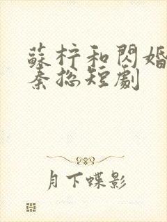 苏柠和闪婚老公秦总短剧