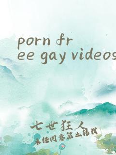 porn free gay videos