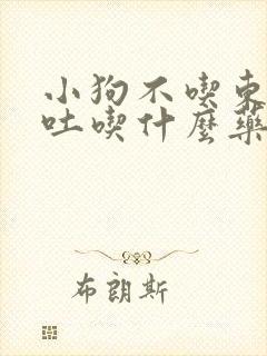 小狗不吃东西呕吐吃什么药好?