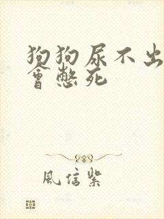 狗狗尿不出几天会憋死