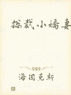 总裁小娇妻小说