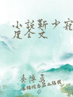 小说靳少宠妻无度全文