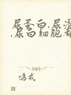 尿蛋白,尿潜血,尿白细胞都有加号