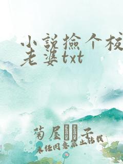 小说捡个校花做老婆txt